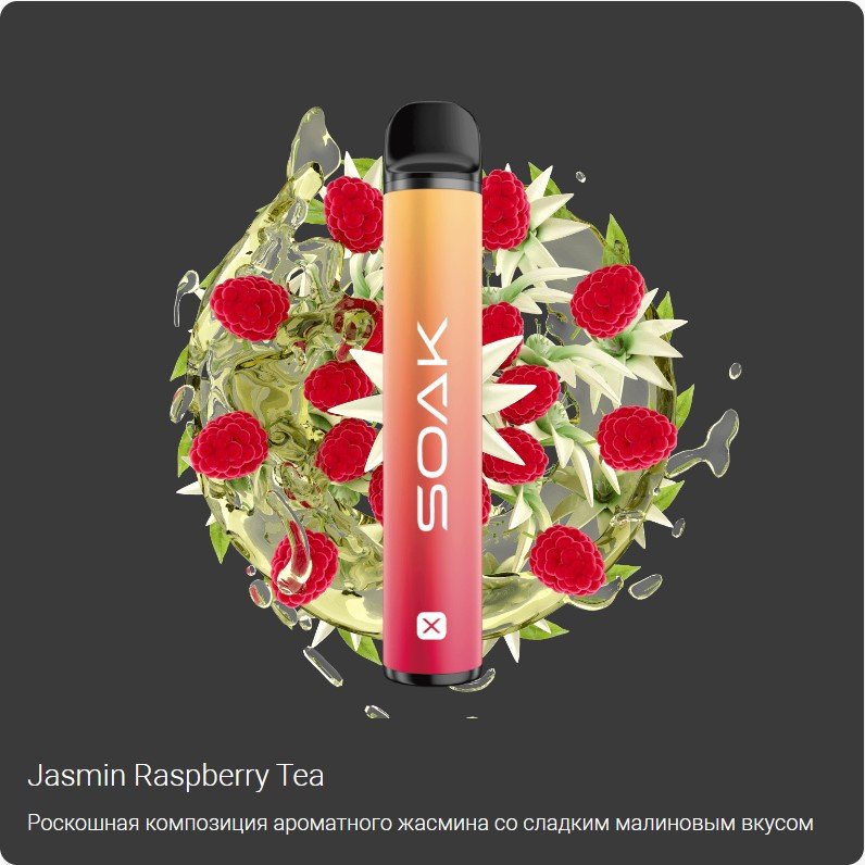SOAK X 1500 ORIGINAL (Лесная чёрная смородина)
